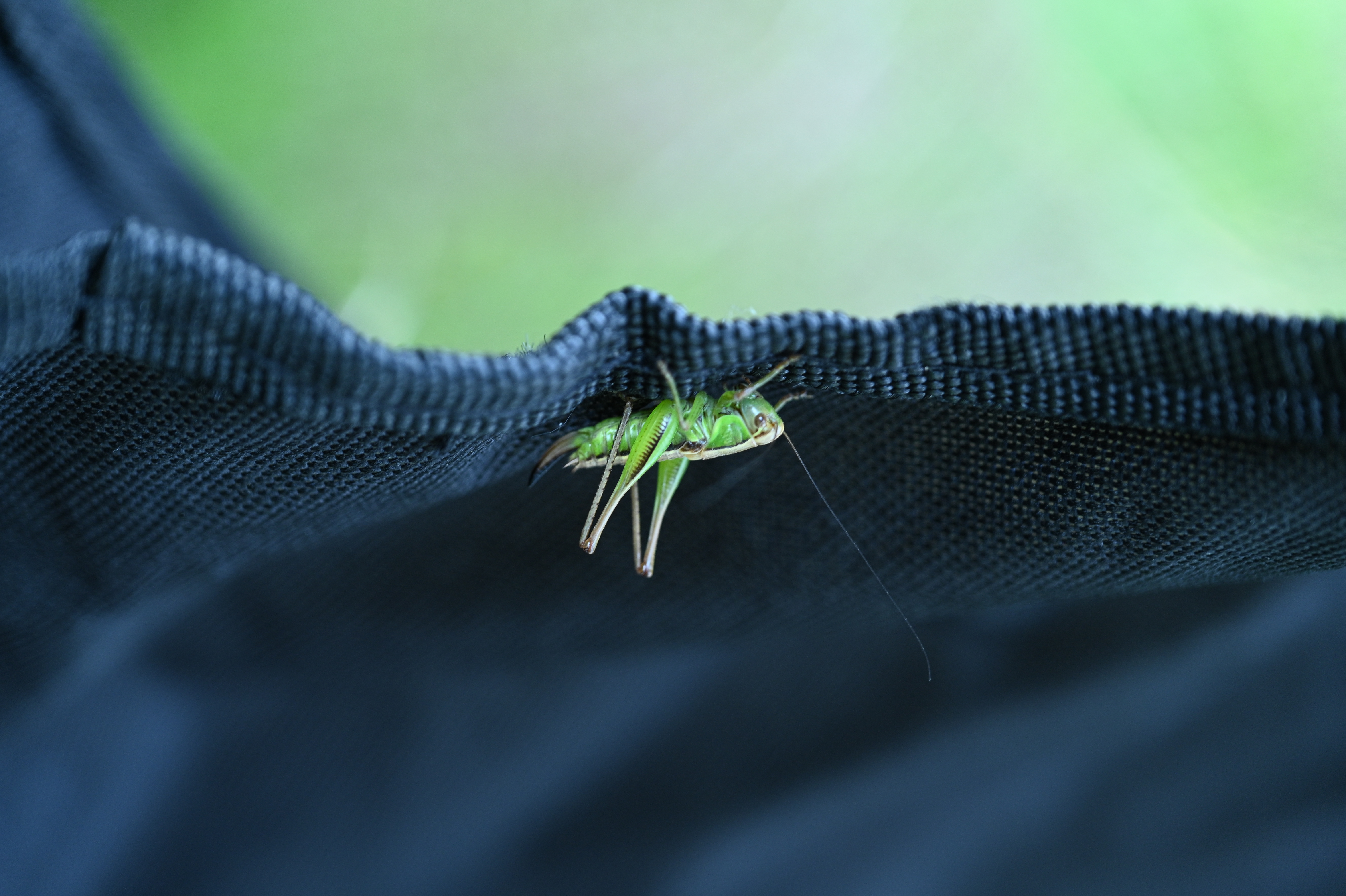 2025/07/09-14 - trip/DSC_0036.JPG